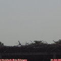 09_05-mast.jpg