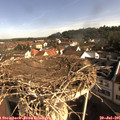 09_05-nest.jpg