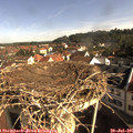 09_10-nest.jpg