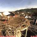 09_15-nest.jpg
