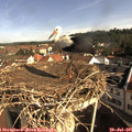 09_20-nest.jpg
