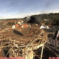 09_25-nest.jpg