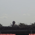 09_30-mast.jpg