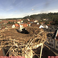 09_30-nest.jpg