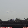 09_35-mast.jpg