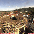 09_35-nest.jpg
