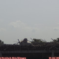09_40-mast.jpg