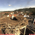 09_40-nest.jpg