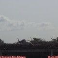 09_45-mast.jpg