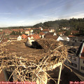 09_45-nest.jpg