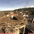 09_50-nest.jpg