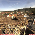 10_05-nest.jpg