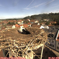 10_15-nest.jpg