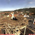 10_30-nest.jpg