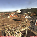 10_35-nest.jpg