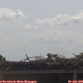 10_40-mast.jpg
