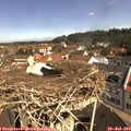 10_40-nest.jpg