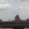 11_05-mast.jpg