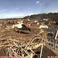 11_05-nest.jpg