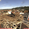 11_10-nest.jpg