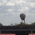 11_45-mast.jpg