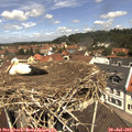 12_05-nest.jpg