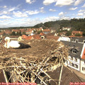 12_15-nest.jpg