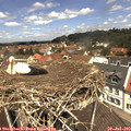 12_20-nest.jpg