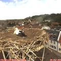12_25-nest.jpg