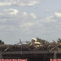 12_30-mast.jpg