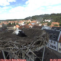 12_30-nest.jpg