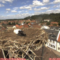12_55-nest.jpg