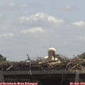 13_00-mast.jpg