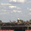 13_05-mast.jpg