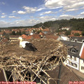 13_05-nest.jpg