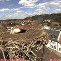 13_15-nest.jpg