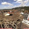 13_20-nest.jpg