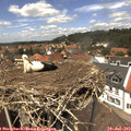13_25-nest.jpg