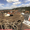 13_30-nest.jpg