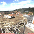 13_35-nest.jpg