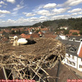 13_40-nest.jpg