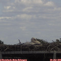 13_45-mast.jpg