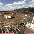 13_55-nest.jpg