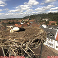 14_00-nest.jpg