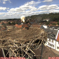 14_05-nest.jpg