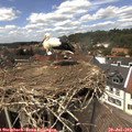 14_10-nest.jpg