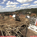 14_20-nest.jpg