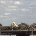 14_25-mast.jpg