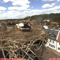 14_25-nest.jpg
