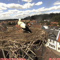 14_30-nest.jpg